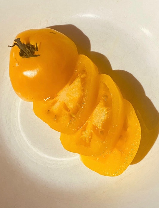 Orange Box Tomato Seeds