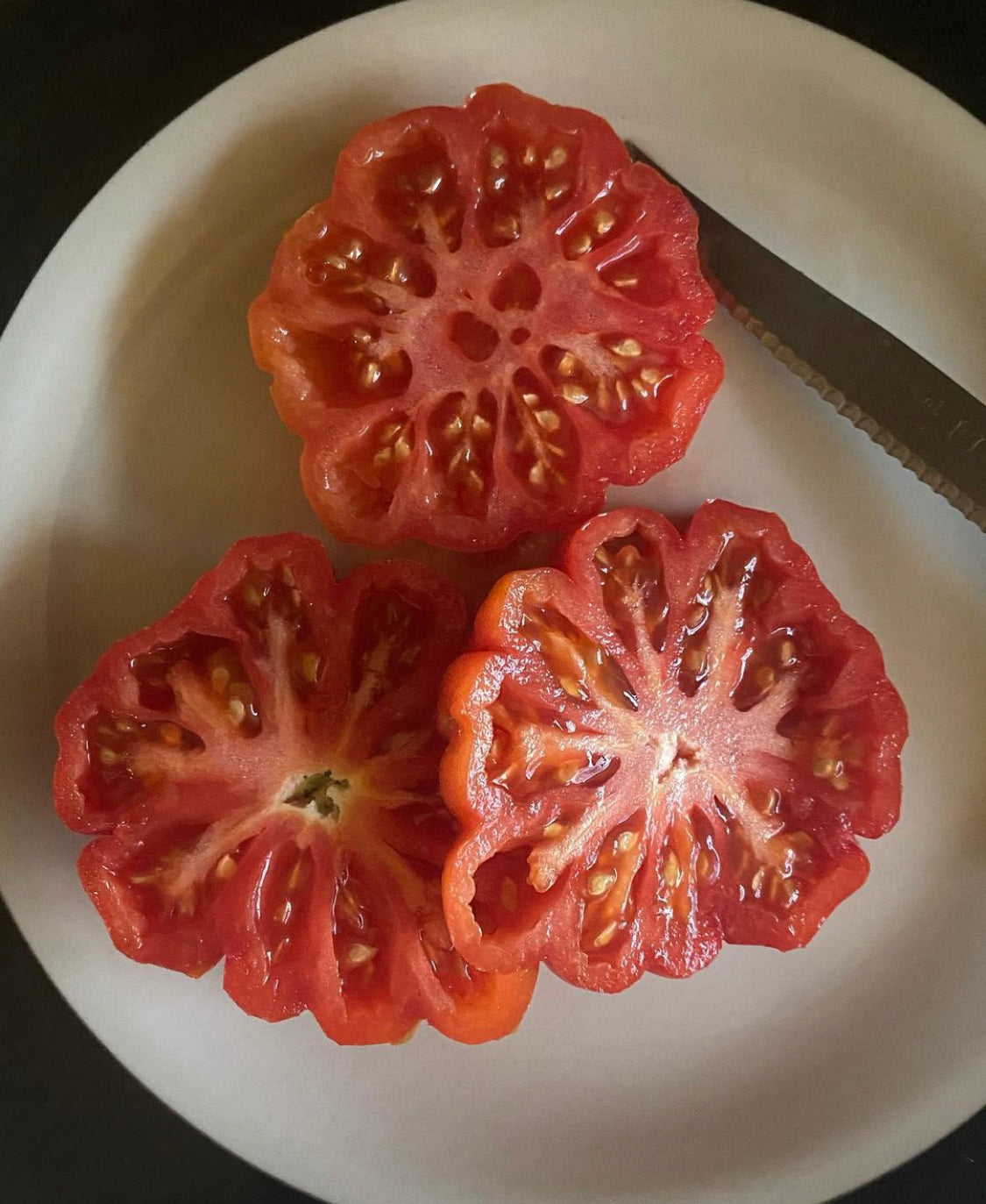 Zapoteco tomato seeds