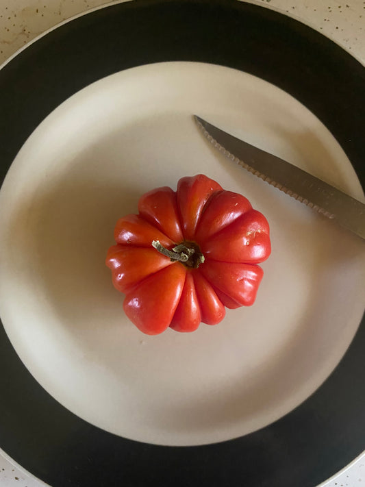 Zapoteco tomato seeds