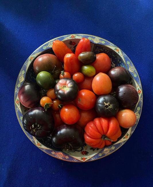 Heirloom Tomato Blend